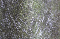 Bishops Nympton fibreglass roof work